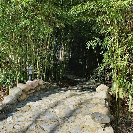Lou Visetto A 펜션 Vallon-Pont-dʼArc